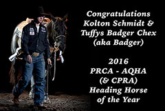 Badger - 2016 PRCA-AQHA Heading Horse of the Year